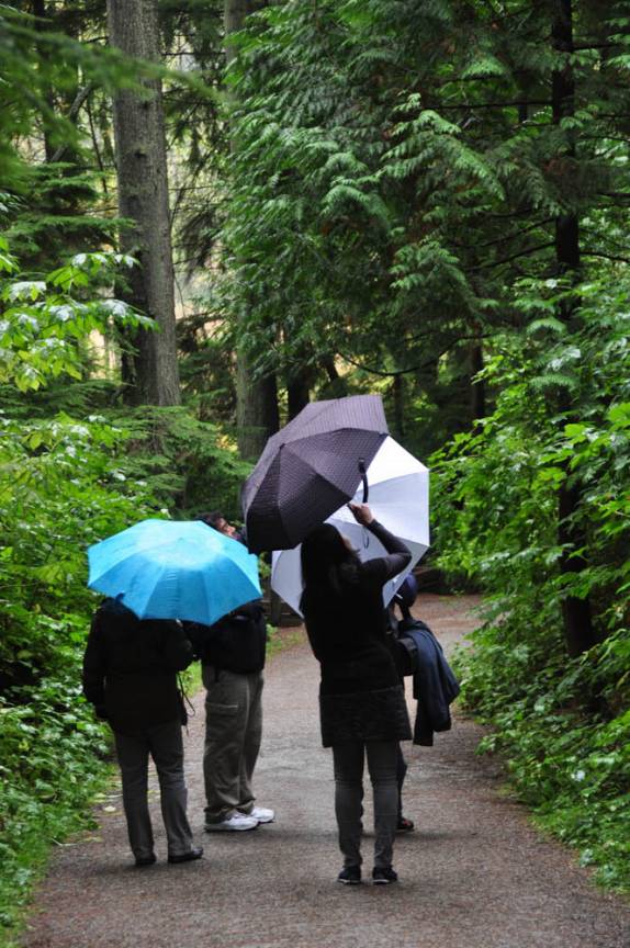 Dia chuvoso no Stanley Park, em Vancouver, no Canadá